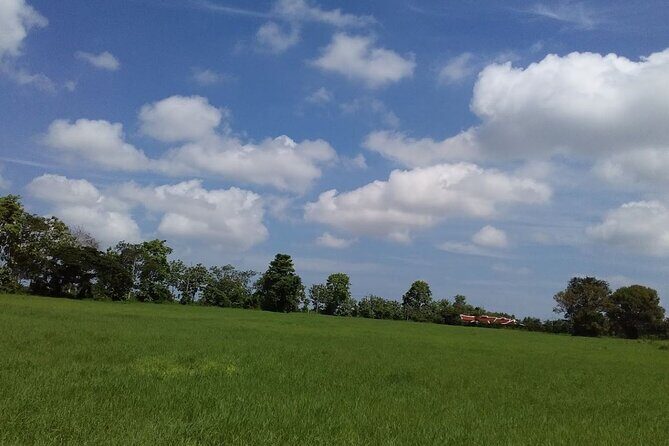 2-Hour ATV Riding Ultimate Off Road Hillside in Pattaya - You Can Ride or Drive: How the Choice Changes Your Experience