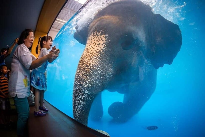 Bangkok/Pattaya: Khao Kheow Zoo Private Tour with Pickup - Key Points You’ll Care About