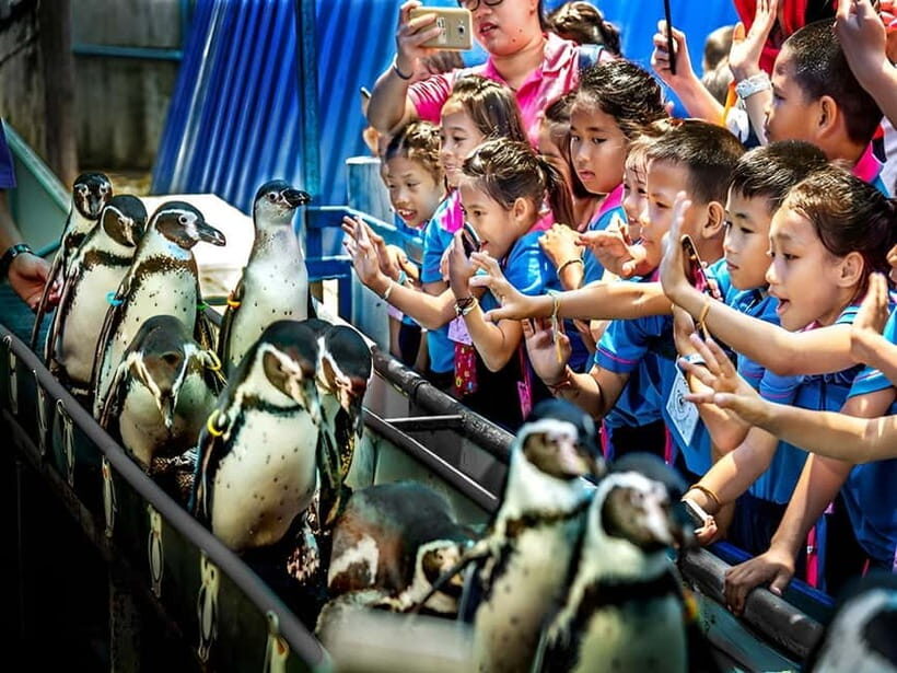 Bangkok/Pattaya: Khao Kheow Zoo Private Tour with Pickup - Green Zone Freedom: Walk, Tram, or Golf Cart