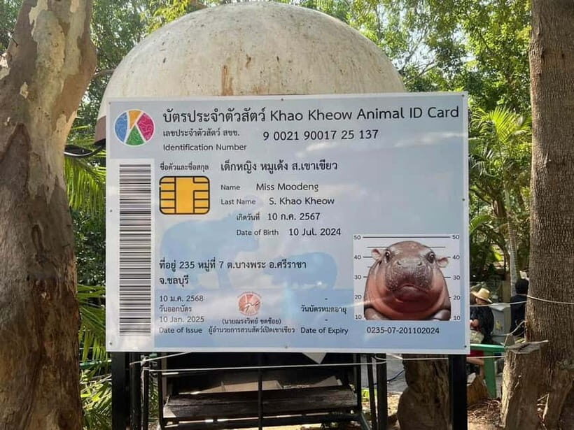 Bangkok/Pattaya: Khao Kheow Zoo Private Tour with Pickup - Feeding Animals and Optional Extras: What’s Included vs Paid