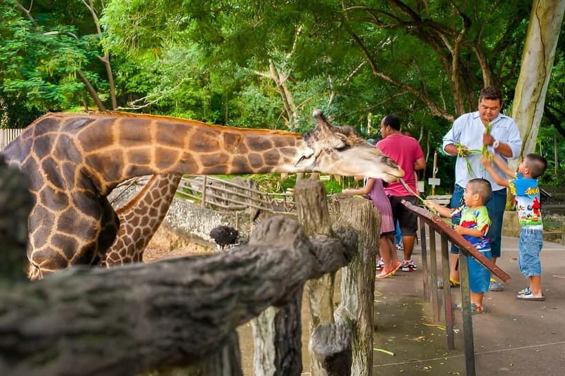 Bangkok/Pattaya: Khao Kheow Zoo Private Tour with Pickup - 6 Hours Total: How to Shape a Zoo Day That Feels Easy