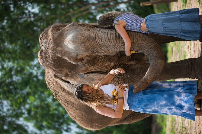 Elephant Jungle Sanctuary: Half Day Morning Program - Getting there early: 6:30am start, pickup zones, and what that means