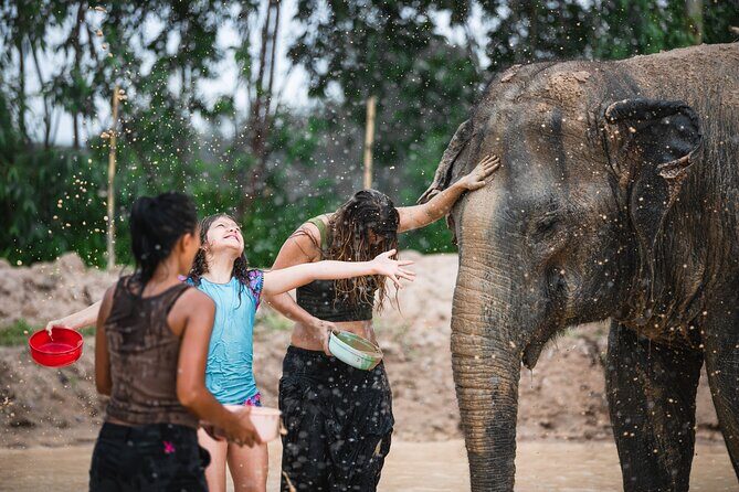 Elephant Jungle Sanctuary: Half Day Morning Program - The Thai lunch: good food, early timing, and how to handle bugs