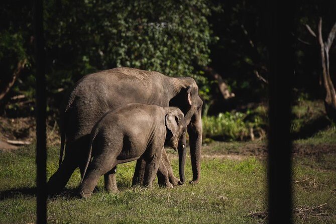 Elephant Jungle Sanctuary: Half Day Morning Program - Clean bathrooms, shower options, and the stuff people forget to pack
