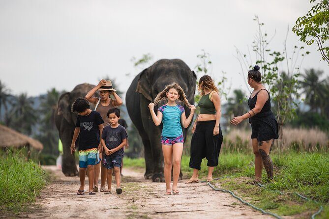 Elephant Jungle Sanctuary: Half Day Morning Program - The $94.53 price: what you’re really paying for