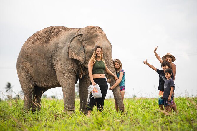 Elephant Jungle Sanctuary: Half Day Morning Program - Should you book Elephant Jungle Sanctuary Pattaya (Half Day Morning)?