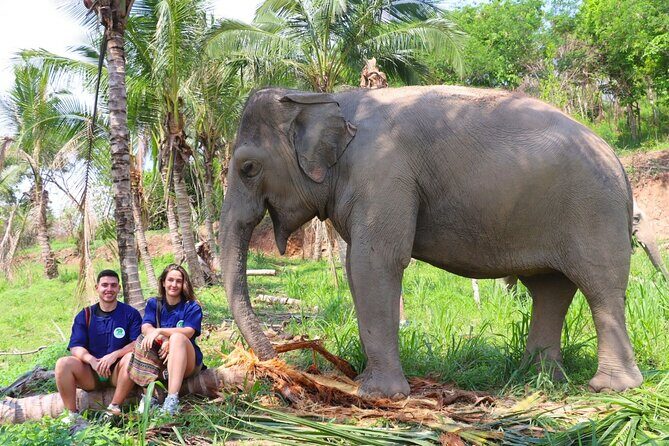 Ethical Elephant Sanctuary Tour from Bangkok & Pattaya - Key Highlights Worth Booking