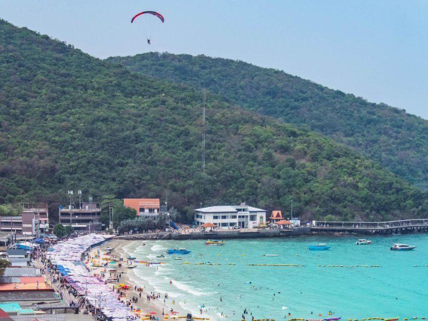 From Bangkok: Pattaya Koh Larn & Sanctuary of Truth Day Trip - Who This Day Trip Is Best For