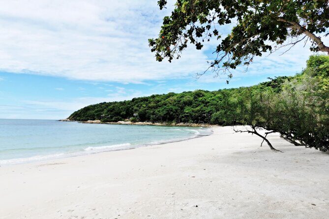 Full-Day on Koh Samet from Pattaya - Price and Value: What $37.74 Usually Covers (and What It Doesn’t)