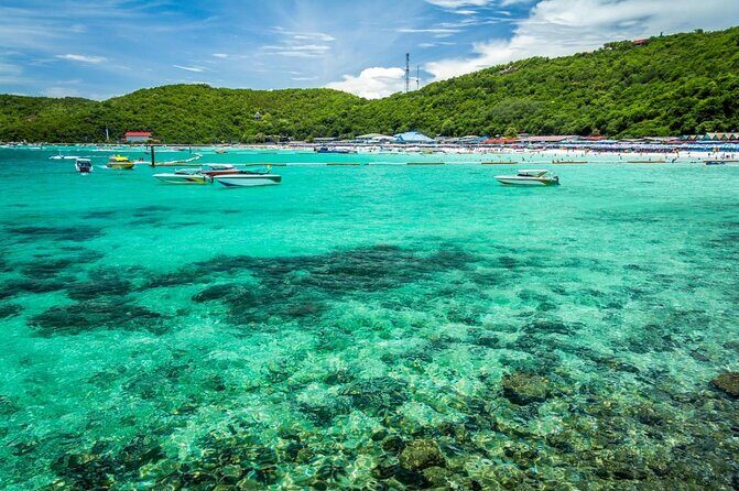Half-day Coral Island Join Tour with Lunch from Pattaya - Key Points That Matter Before You Go