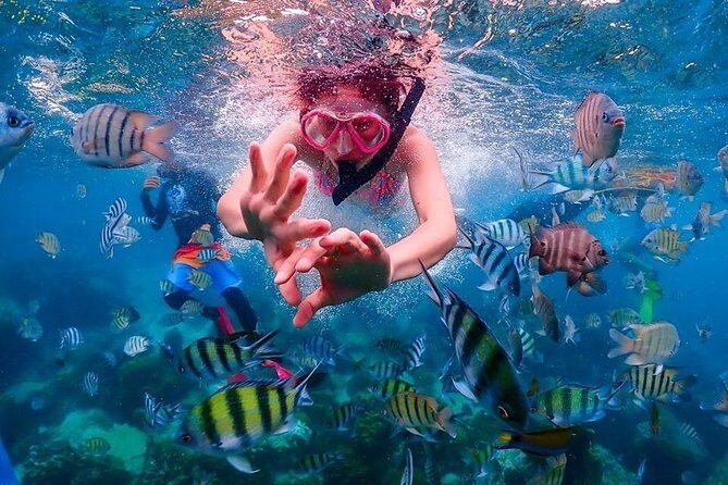 Nemo Island Experience with Drone Photos and Lunch - Lunch at the Seaside Restaurant: Fuel Without Losing the Mood