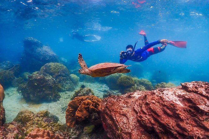 Nemo Island Experience with Drone Photos and Lunch - Drone Photos and Underwater Pictures: How the Souvenirs Work