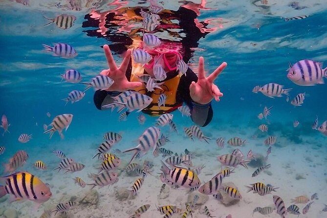 Nemo Island Experience with Drone Photos and Lunch - Transportation, Time on the Clock, and Group Size