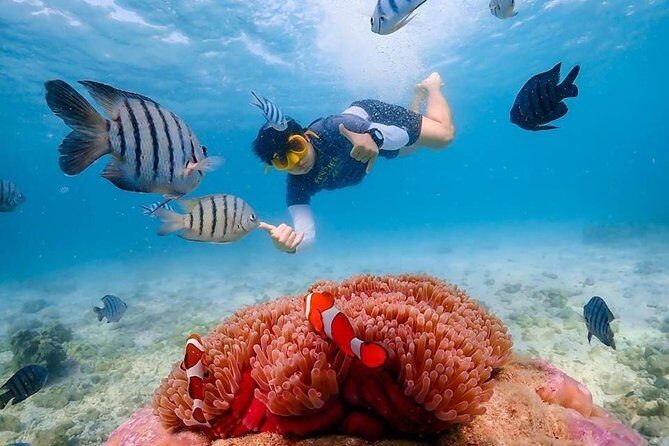 Nemo Island Experience with Drone Photos and Lunch - Health and Comfort Considerations (Don’t Skip This Part)