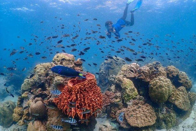 Nemo Island Experience with Drone Photos and Lunch - Khao Chi Chan Photo Stop: Quick Views, No Big Detour