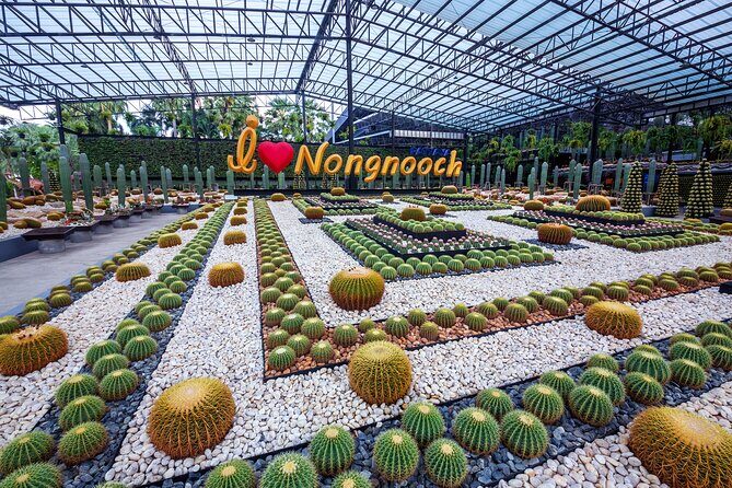 Nong Nooch Tropical Garden Ticket in Pattaya - Pickup, small group size, and how logistics affect value