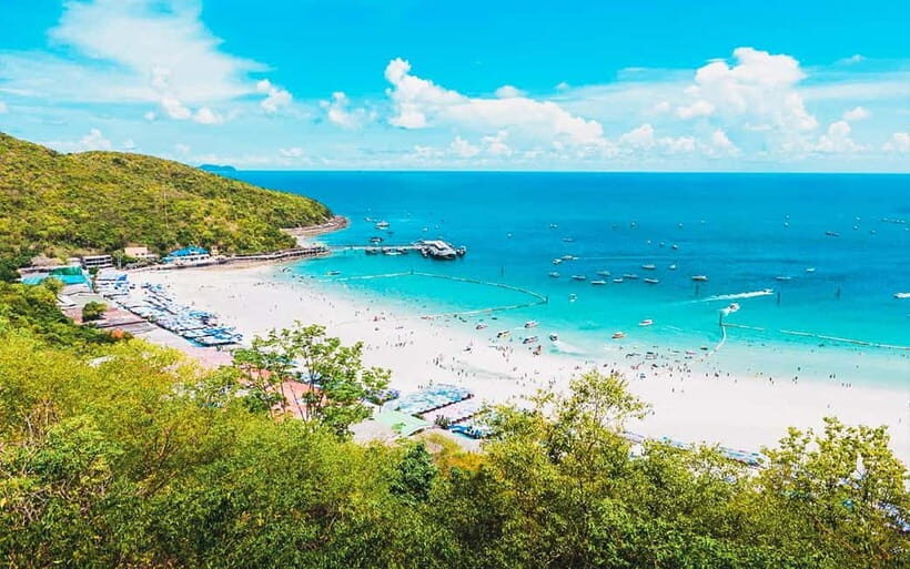 Pattaya: Coral Island (Koh Larn) Day Trip with Seafood Lunch - The day’s timeline from pickup to return: where time really goes