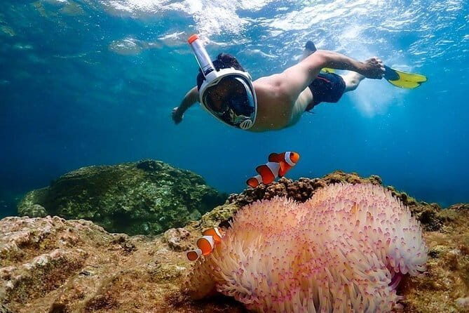 Pattaya Coral Island Tour with Indian Lunch and Hotel Transfer - Booking checklist: get the good day, avoid the awkward one