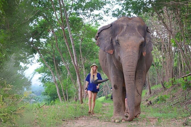 Pattaya Discovery Tour with Floating Market - Price and value: what $35.58 covers (and what it doesn’t)