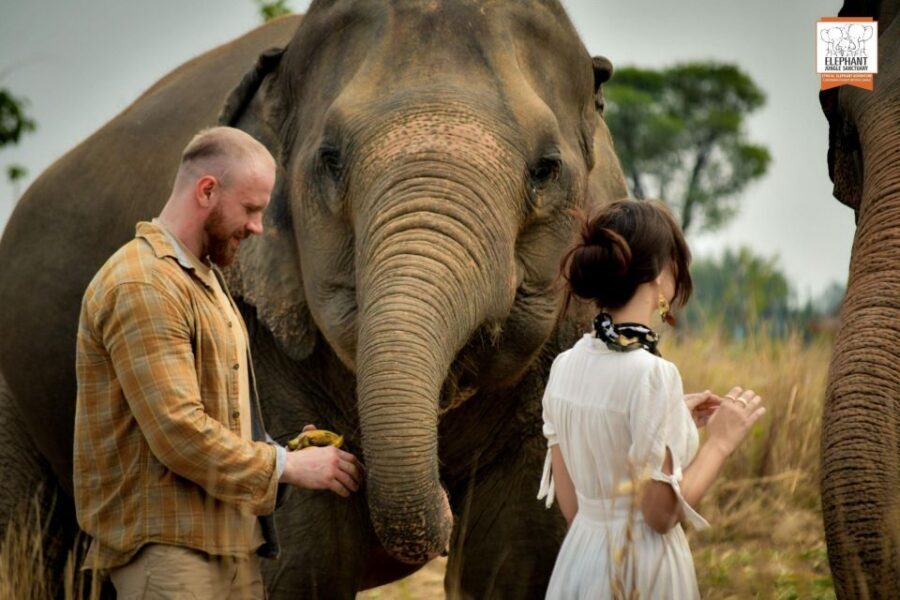 Pattaya: Elephant Jungle Sanctuary Feeding Experience - Quick hits
