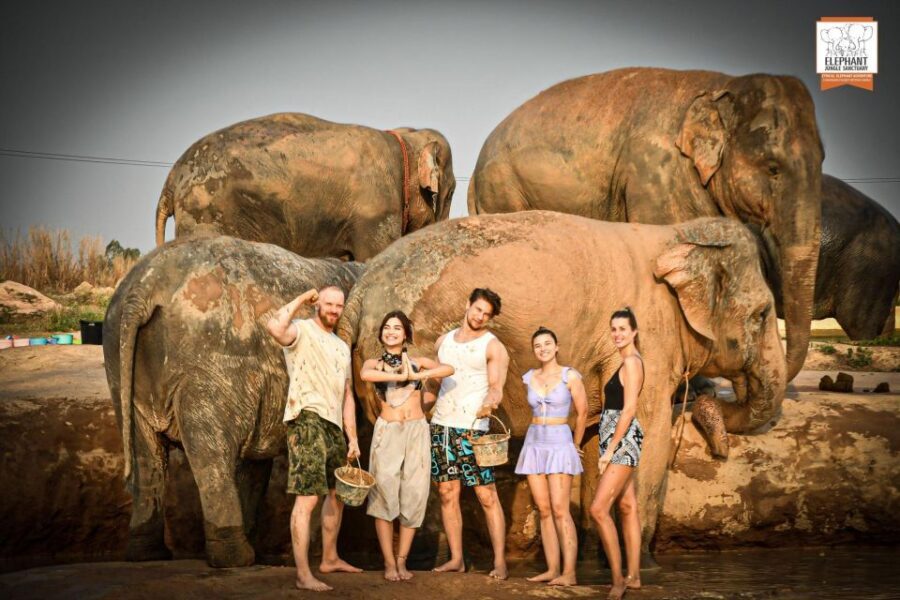 Pattaya: Elephant Jungle Sanctuary Feeding Experience - Where This Elephant Jungle Sanctuary Experience Fits in Pattaya