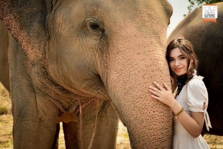 Pattaya: Elephant Jungle Sanctuary Feeding Experience - Price and Value: Is $28 a Good Deal Here?