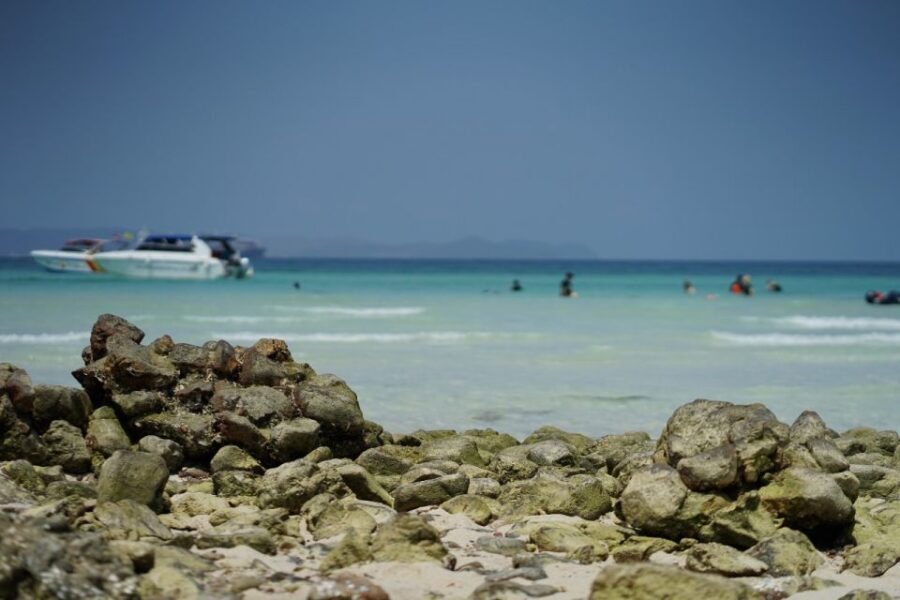 Pattaya Island Trip With Drone Photo and lunch,Nature Beach - Island Geese Feeding: A Small Nature Moment That Sticks