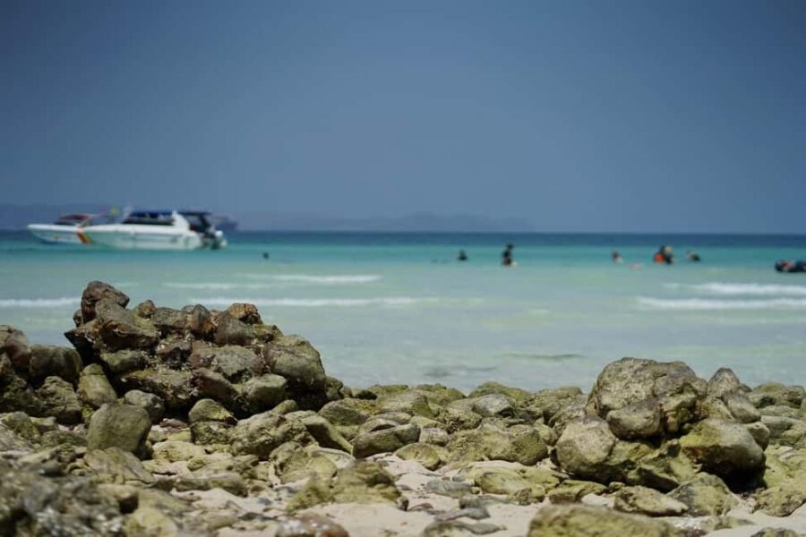 Pattaya Island Trip with Indian Lunch & Flexible Pickup Time - Quick Takeaways (Before You Book)