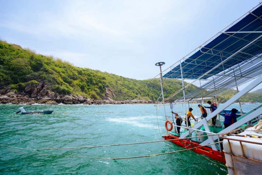 Pattaya Island Trip with Indian Lunch & Flexible Pickup Time - Speedboat reality check and sea-sickness planning
