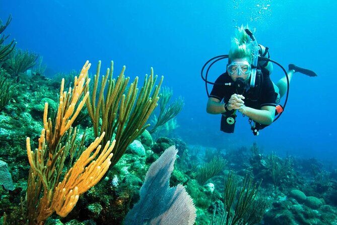 Pattaya PADI Beginner Scuba Diving One Try Dive Depth 6 Meters and Snorkeling ) - Price and Value: Is $162.76 Fair for This Day?