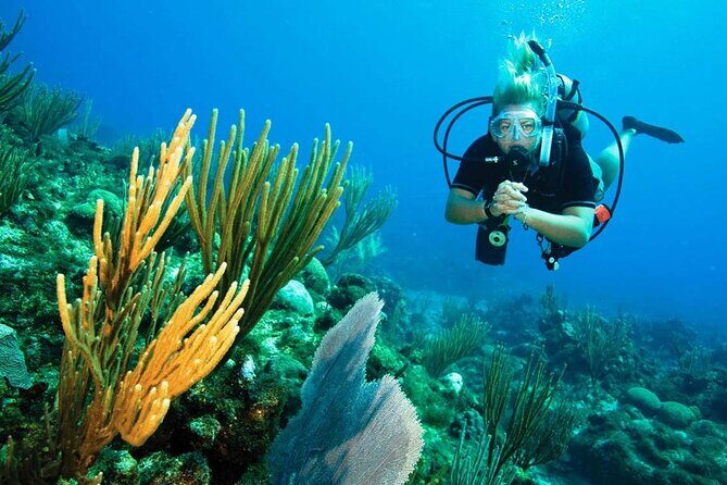 Pattaya PADI Scuba Diving Two Exciting Try Dives with PADI Instructor in Pattaya - Snorkeling option for friends: sharing the boat without sharing the gear
