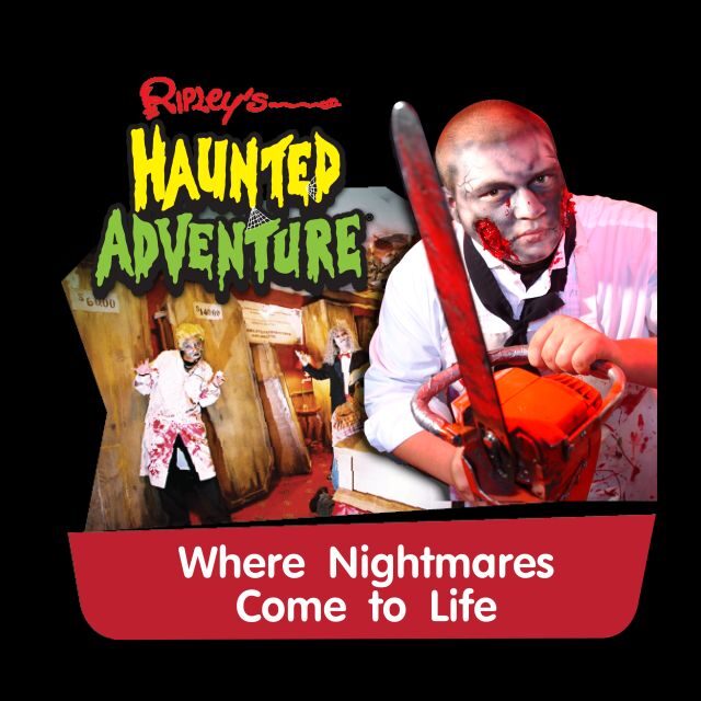 Pattaya: Ripley’s Believe It or Not! Entry Ticket - Odditorium: The 350+ exhibit experience built for curious wandering