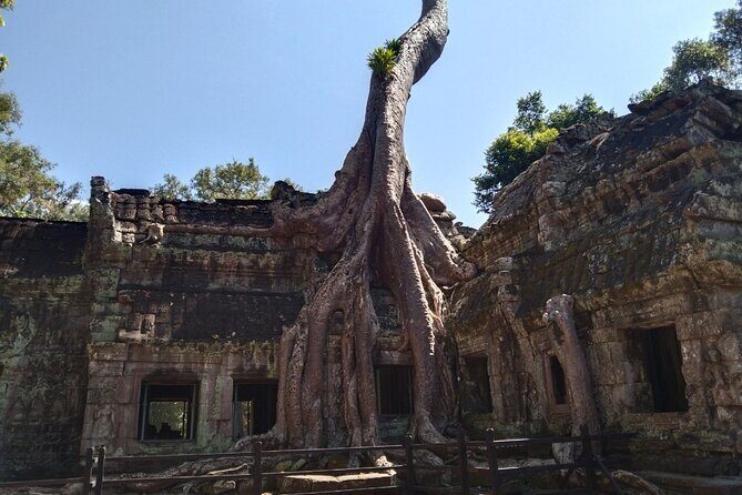 Pattaya to Angkor Wat 2 days 1 night Private tour - Angkor Thom South Gate and Bayon: 108 faces and volcanic stone power