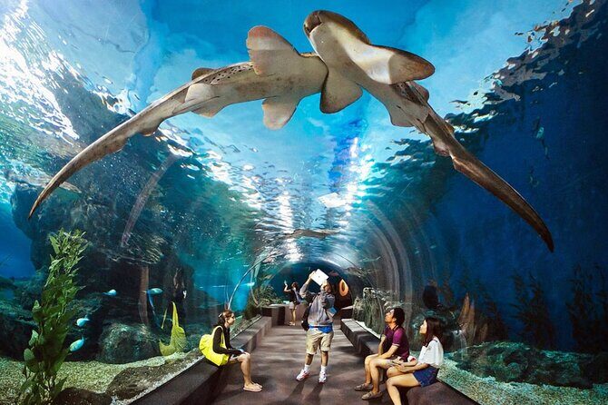 Pattaya Underwater World Admission Ticket - Key things I’d highlight before you go