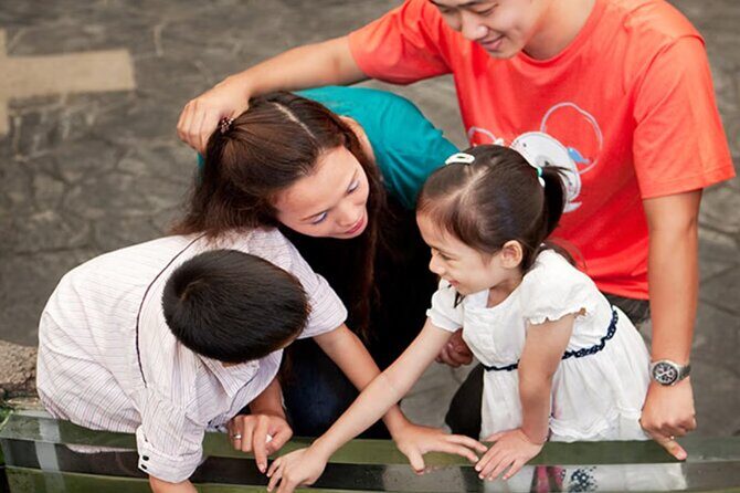 Pattaya Underwater World Admission Ticket - Touch pool time: hands-on, but keep it simple