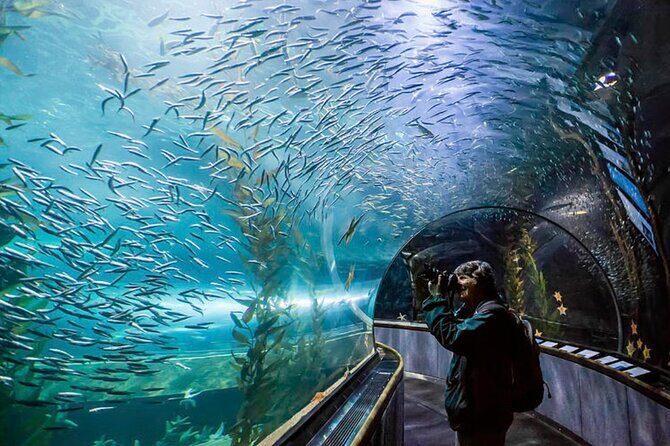 Pattaya Underwater World Admission Ticket - Timing your visit: opening hours and how to plan your day