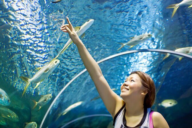 Pattaya Underwater World Admission Ticket - Who should book this ticket, and who might reconsider