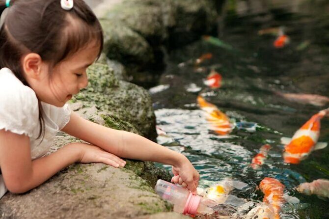 Pattaya Underwater World Admission Ticket - Should you book Underwater World Pattaya admission?