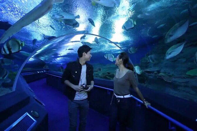 Pattaya Underwater World Admission Ticket - Feeding shows: entertainment with a schedule