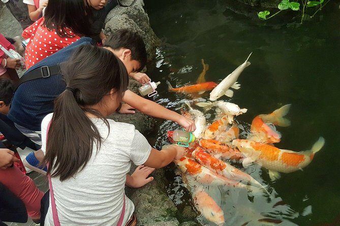 Pattaya Underwater World - Discover Ocean Treasures - The exhibit route and the glass-domed tunnel experience