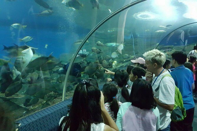 Pattaya Underwater World - Discover Ocean Treasures - Practical tips so the visit feels smooth