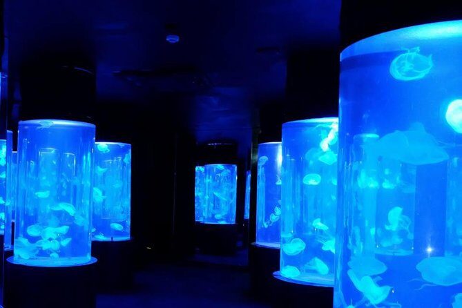 Pattaya Underwater World - Discover Ocean Treasures - Stop 1: Underwater World Pattaya (your one main visit)