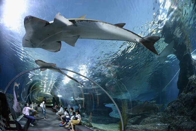 Pattaya Underwater World Tickets with Optional Hotel Pickup - Getting there with optional hotel pickup in Pattaya