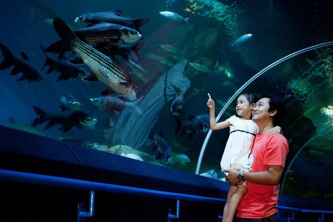 Pattaya Underwater World Tickets with Optional Hotel Pickup - Ray Pool and the calmer pools: the detail lovers’ stop