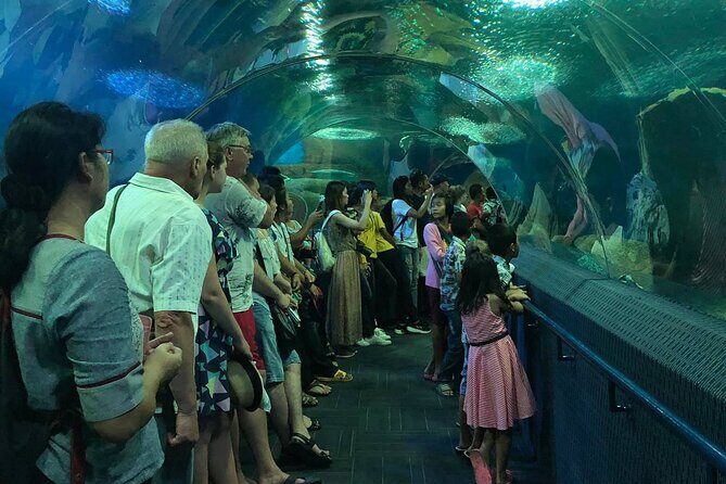 Pattaya Underwater World Tickets with Optional Hotel Pickup - Coral Reef zone: colorful viewing, then a reality check