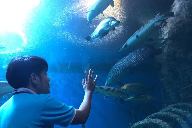 Pattaya Underwater World Tickets with Optional Hotel Pickup - Photos, lighting, and the souvenir shop factor