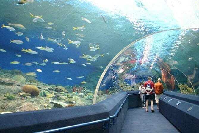 Private Transfer from Pattaya to Don Mueang/Suvarnabhumi Airport - Who should book this private airport transfer