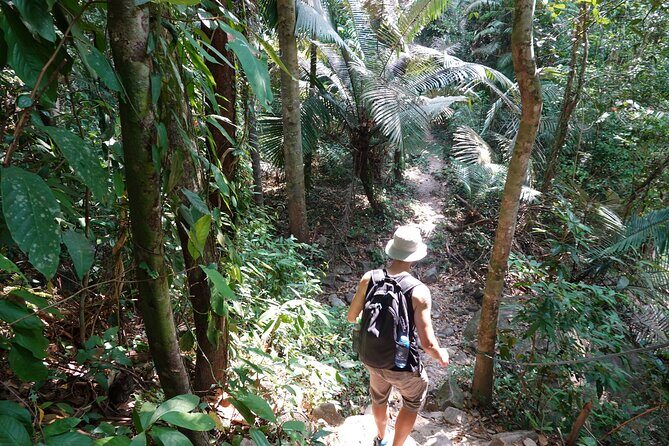 Rayong Adventure Full day Trip from Pattaya Tour - Tung Prong Thong: the golden mangrove-top viewpoint