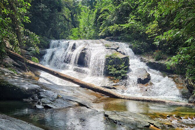 Rayong Adventure Full day Trip from Pattaya Tour - The national park hike: waterfalls, fish, and a manageable pace