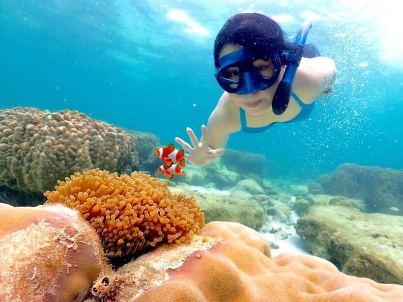 Snorkel & Chill: Nemo Island Trip from Pattaya - Key things I’d plan around